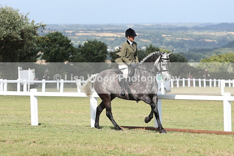 JPP_2887 - Class 20: Working Hunter 70cm