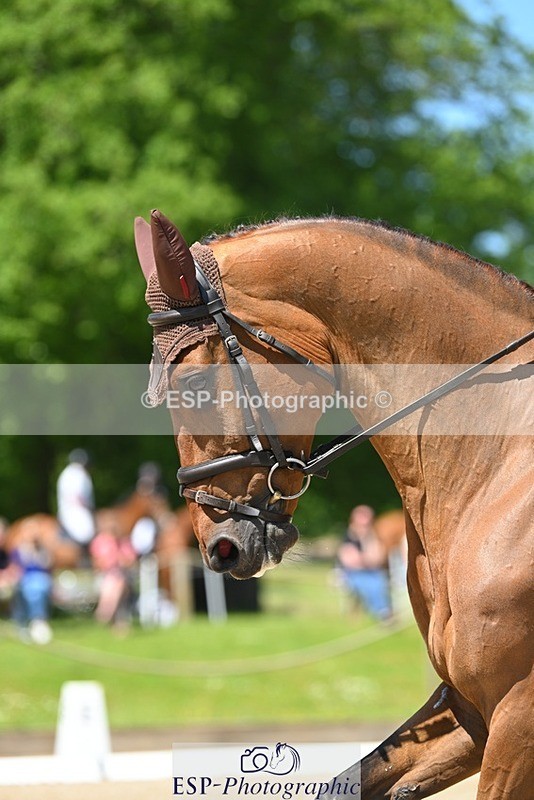 230526-120524-05934 - 473-IRON_IV-Selina_Milnes-DR