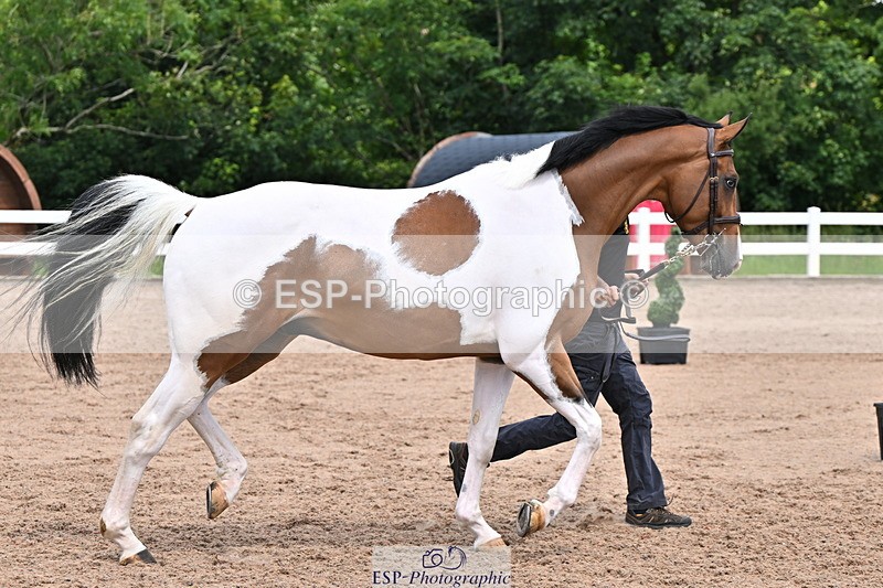 240718A-105308-01603 - Trot Up 1pm to 2pm