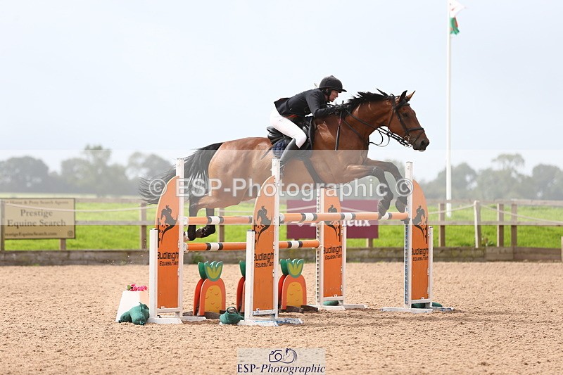 230812A-121207-08866 - Cls 32 Foxhunter