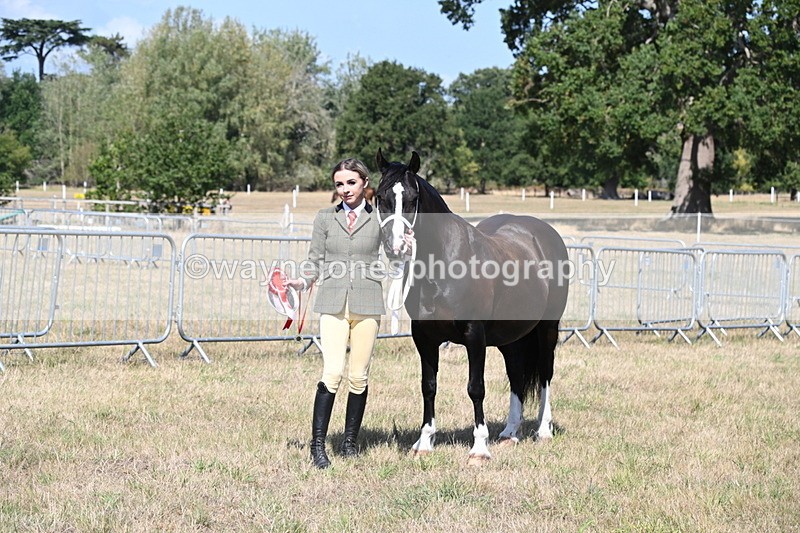 WJ6_5023 - Class 17 Mountain & Moorland
