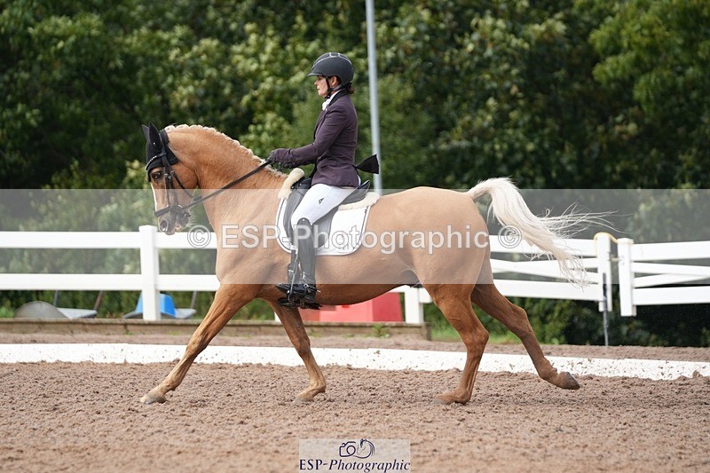 250907-153258-09565 - 121-Jodie.SmithAmber