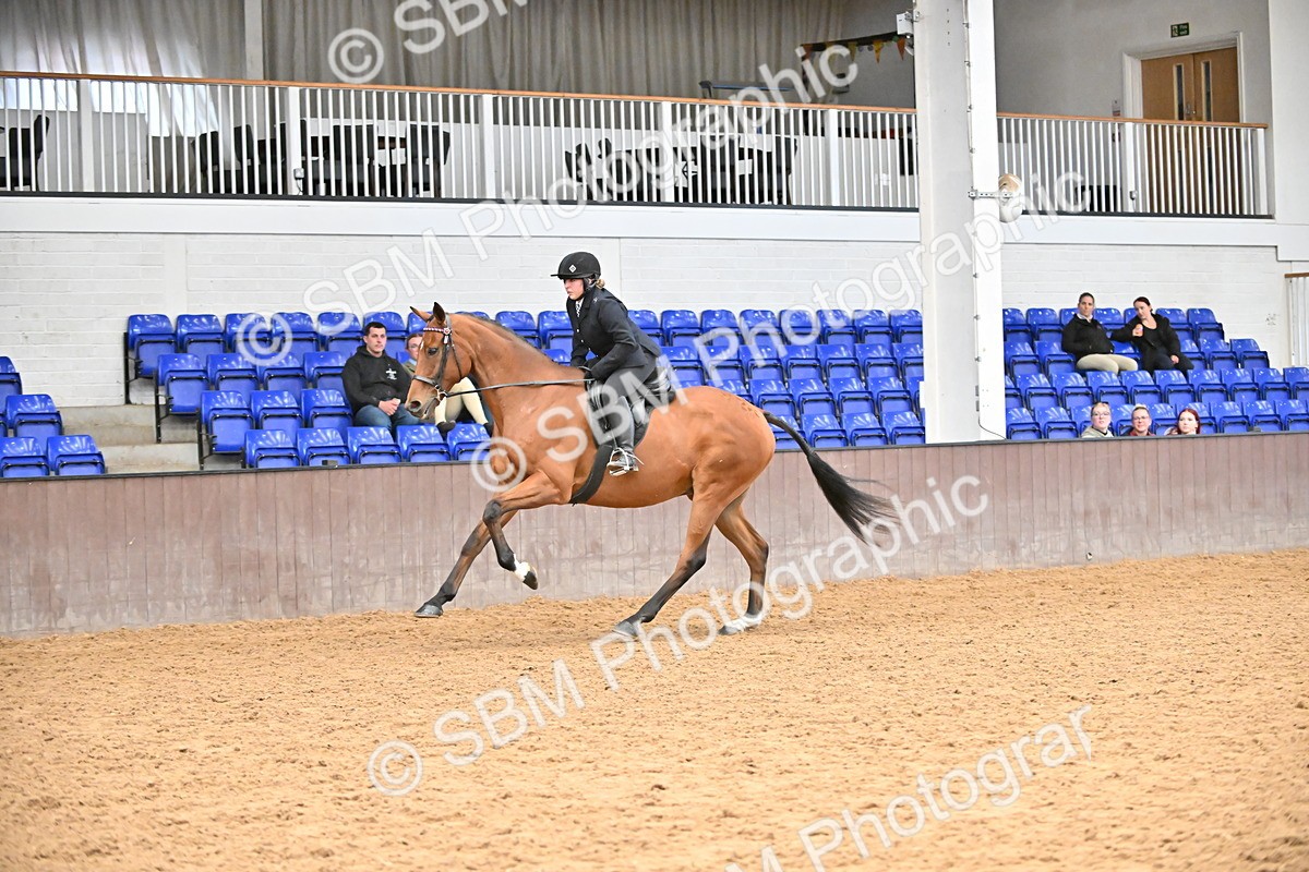 SBM_001944 - Class 25 - Tattersalls ROR Amateur Ridden