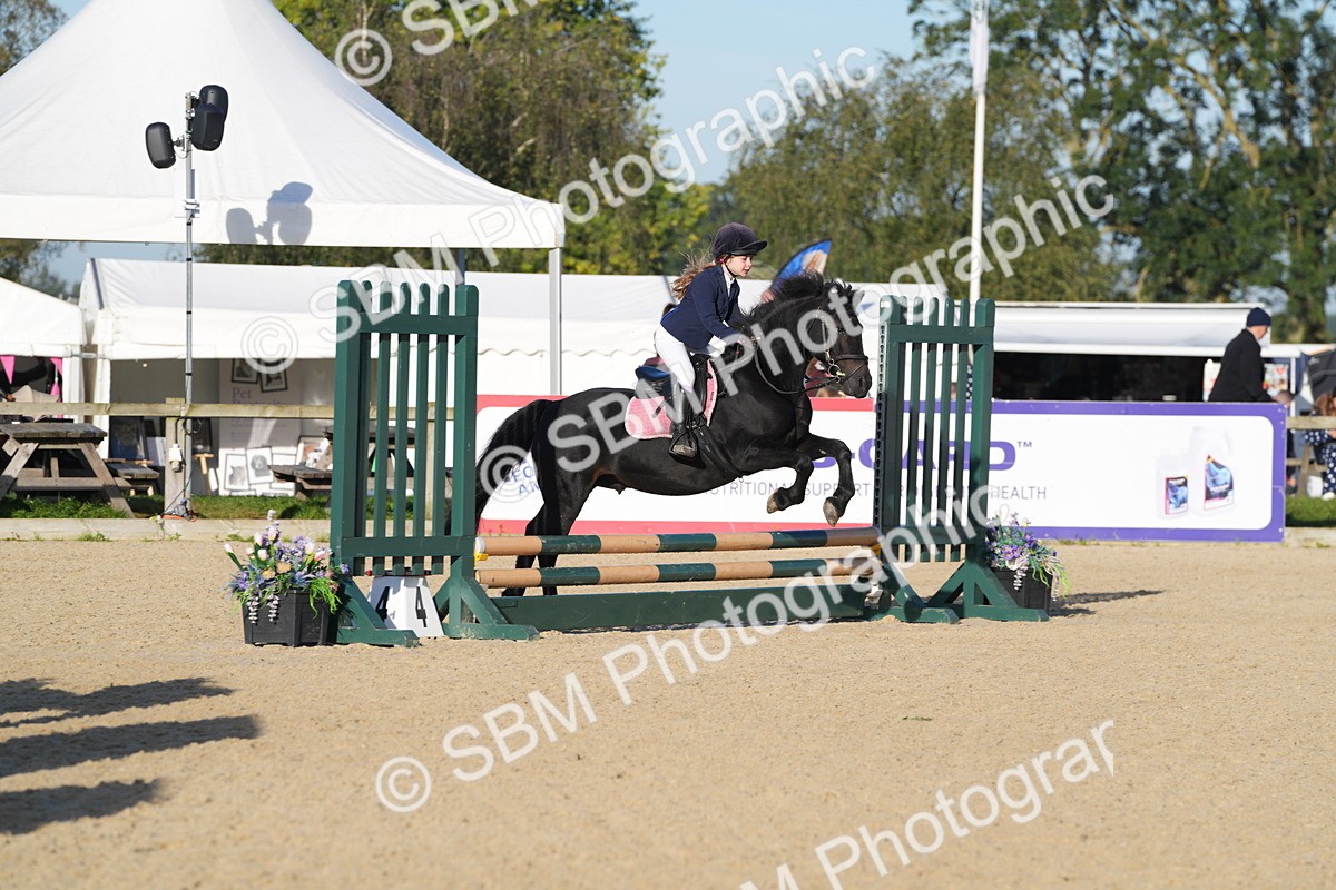 SBM_34342 - J62 - Clear Round 50cm