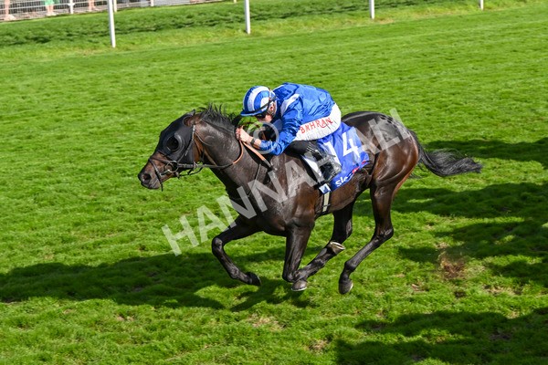 240824-Race 5-Elmonjed-1764 - Race 5 4.10pm Sky Bet Constantine Handicap