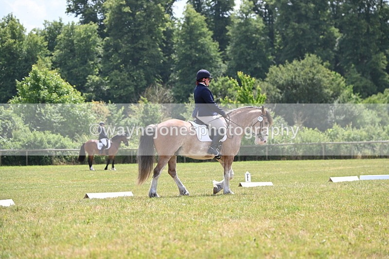 WJ6_7394 - Time 12:25 to 12:56