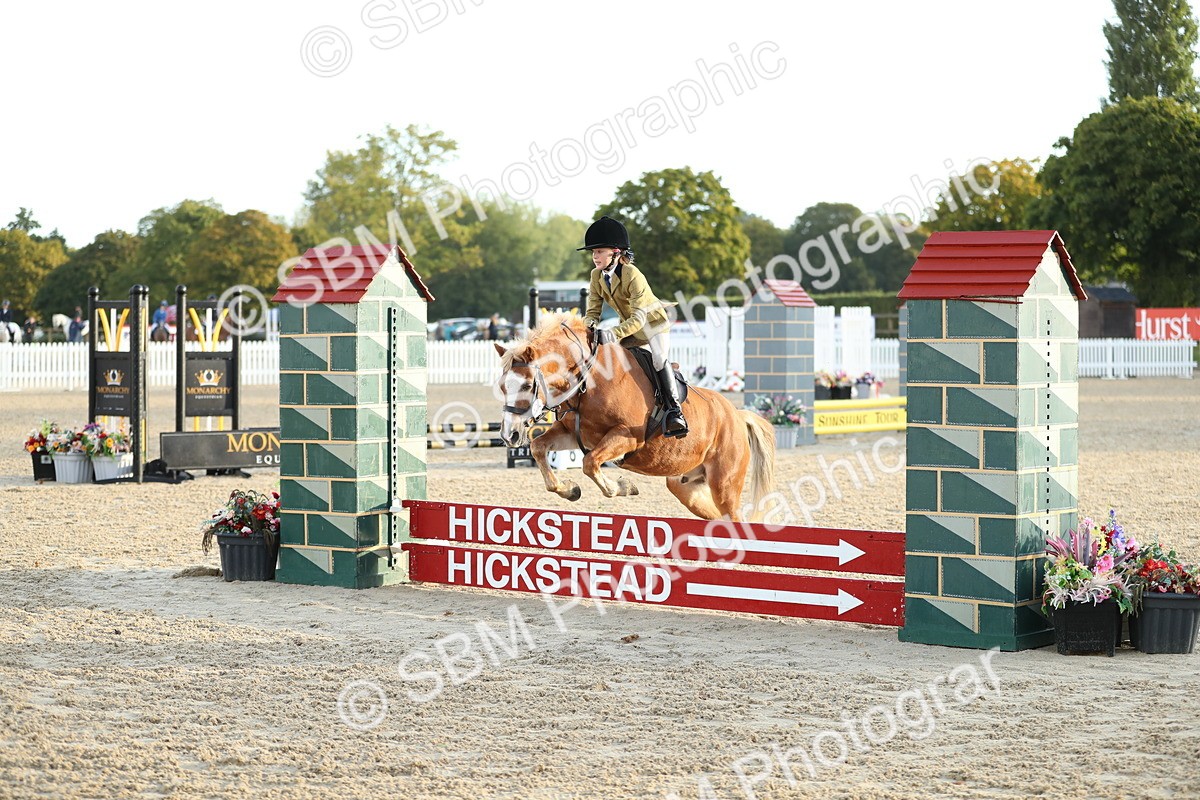 SBM_34138 - J60 Clear Round 50cm