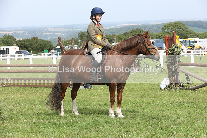 JPP_3967 - Class 23: Working Hunter 80cm