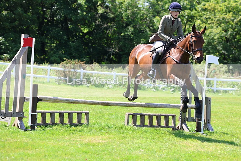 3E7A6975 - Class 30: Novice Working Hunter