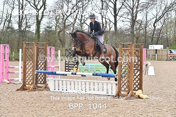BPP_1044 - CLASS 2 Club/ Unaffiliated 80cms Open