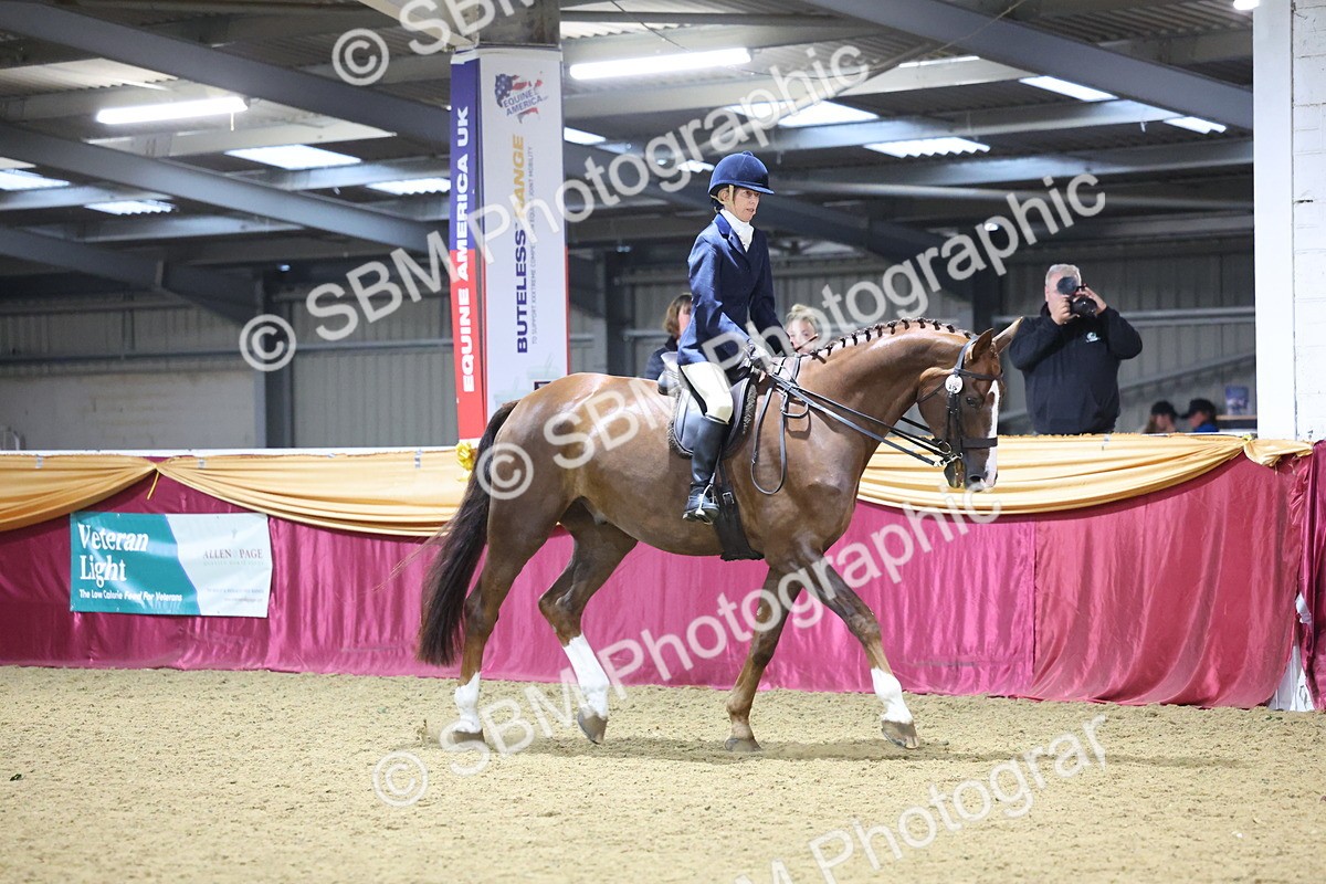 SBM_19143 - Class I Competition/ Riding Club Champ