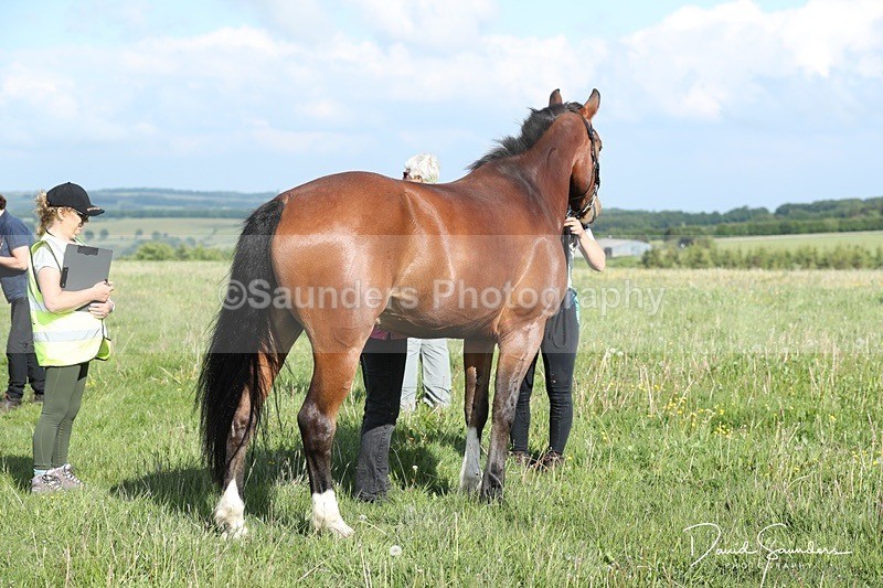 SPXX0030 - Friday vetting