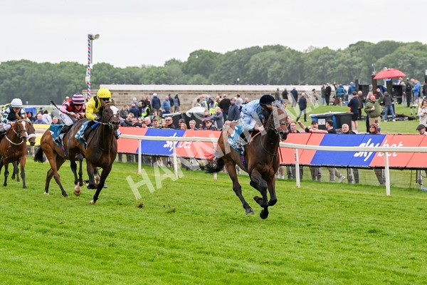 150525-Merchant-5320 - Race 7 5.25pm Haxby Handicap