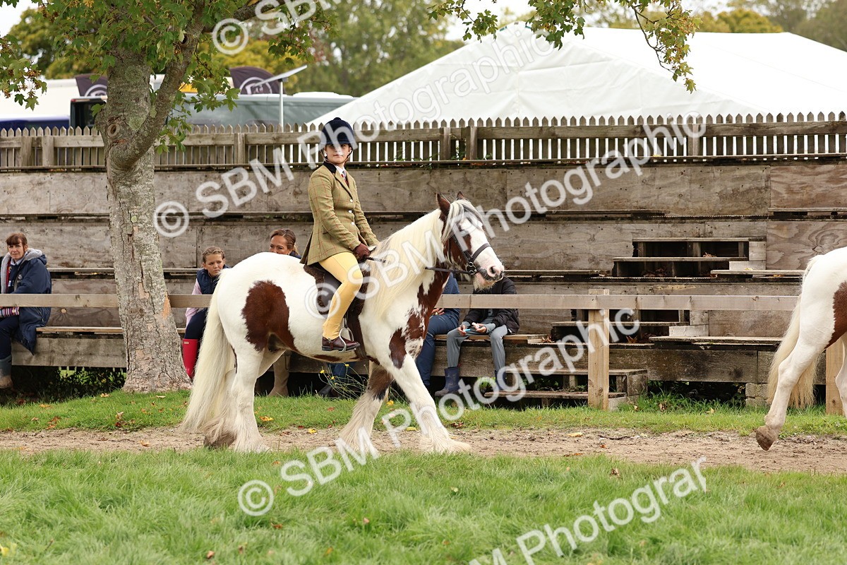 SBM_64400 - S58 - Coloured Pony Ridden