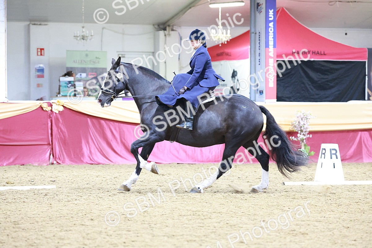SBM_09929 - Class 61 - Dressage to Music