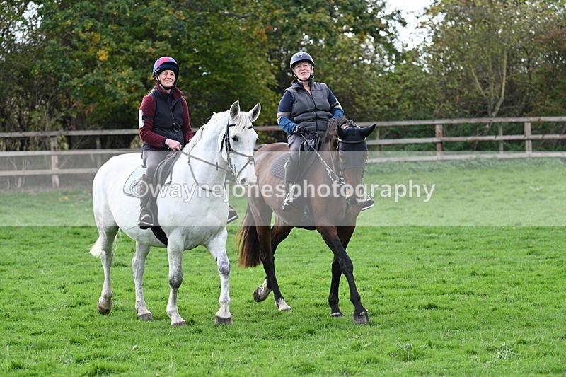 WJ7_0784 - Time 14:27 to 15:11