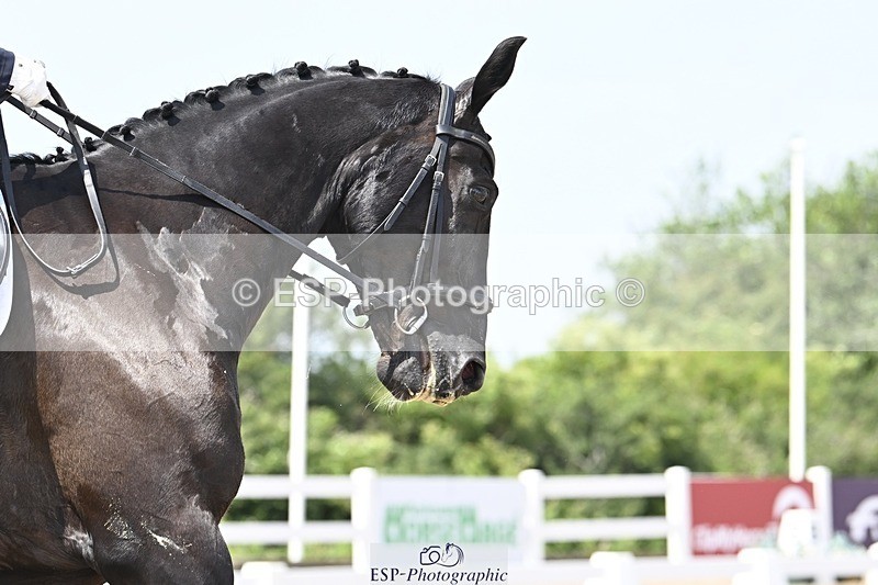 250621-135655-10505 - Cls 29 - Elementary 5, Start to 14.10