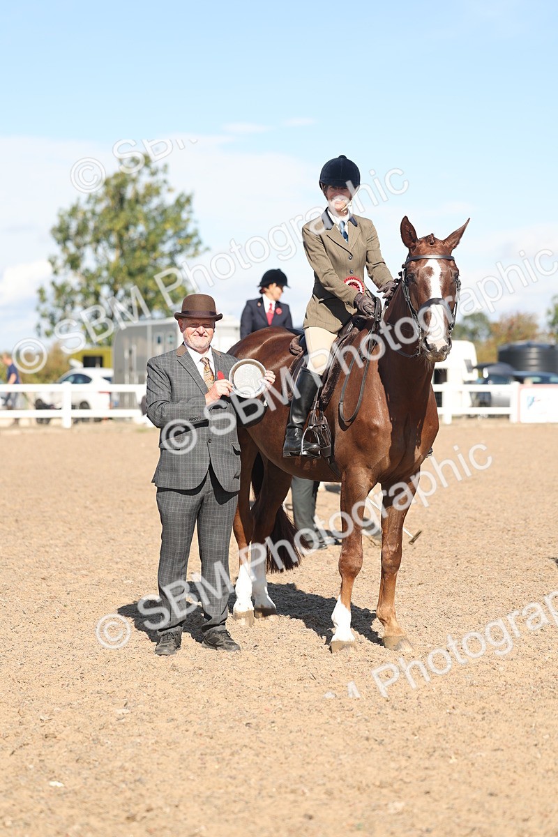 SBM_13101 - Class 305 - Ridden Foreign Breed Pure Bred