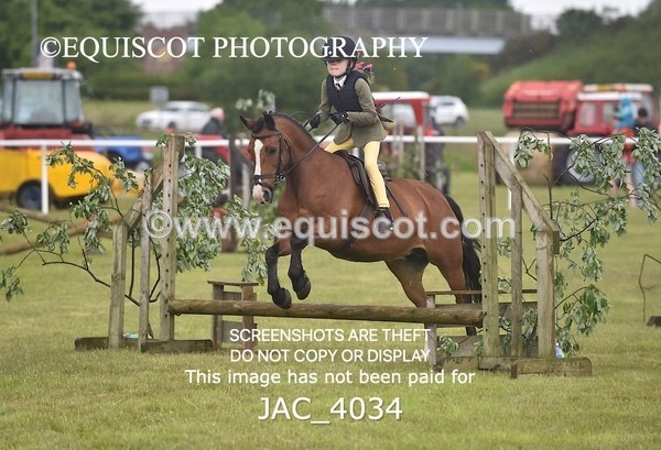 JAC_4034 - 40CM WORKING HUNTER