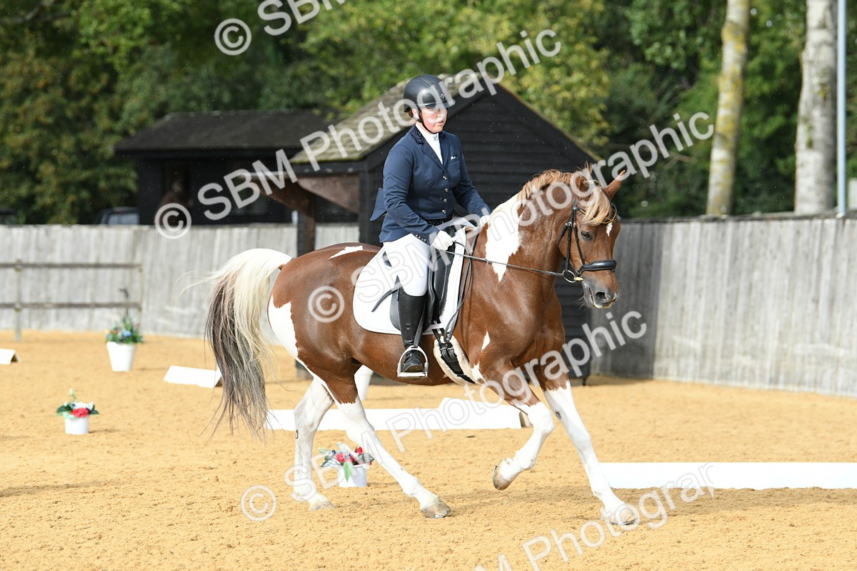 SBM_11074 - D28 Elementary Taster Elementary 42