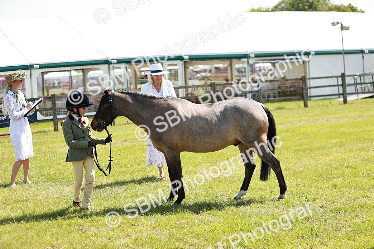 SBM_13518 - Class 108-109 - BSPS LIHS Open Gradle & Nursery Stakes