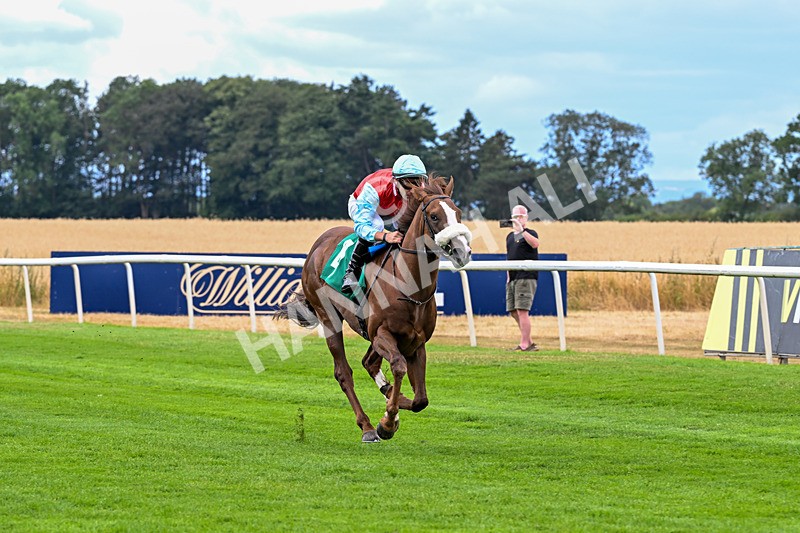 010826-Race 1-Battle Fever-1879 - Race 1 13.38pm John & Paula 25th Wedding Anniversary EBF Novice Stakes