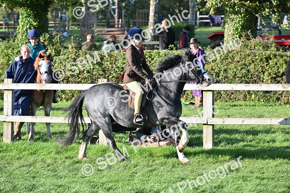 SBM_53026 - S23 - First Ridden Mountain & Moorland Pony