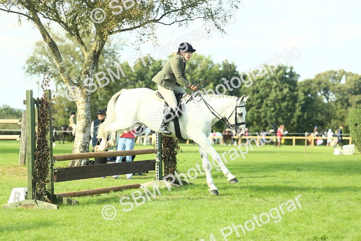 SBM_50555 - S33 - Working Hunter & Working Show Horse