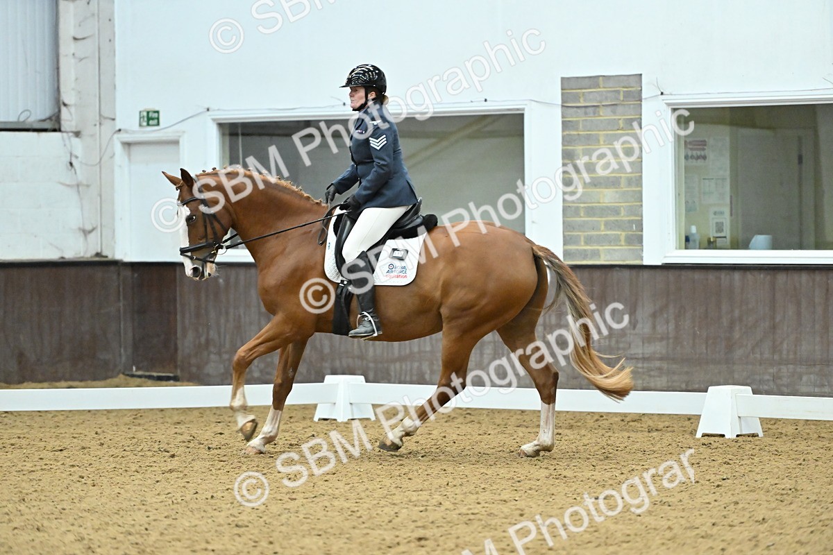 SBM_007559 - Class 81 - Novice 3