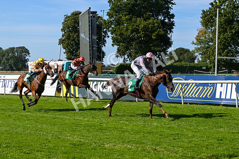 160924-Race 1-Susiesparkle-2515 - Race 1