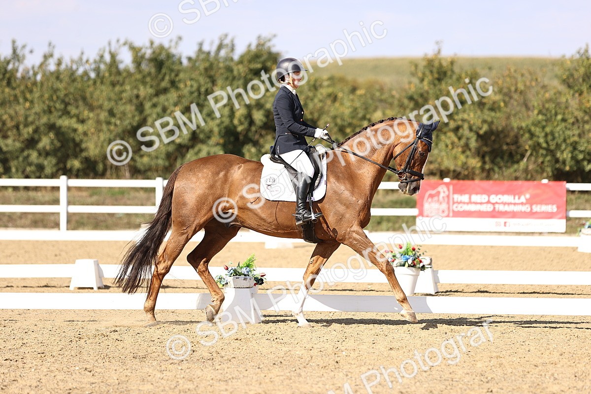 SBM_015246 - Class 8 - Medium 5