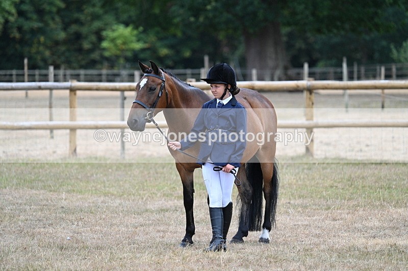 WJ7_9602 - Class 5 Most Handsome Gelding (up to 14.2hh)