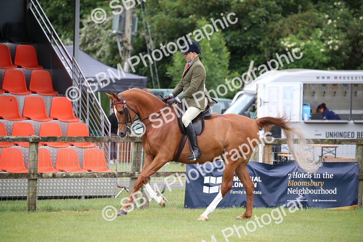 SBM_03631 - Class 21 - 22 - Ridden Arab and Part Bred/Anglo Arab