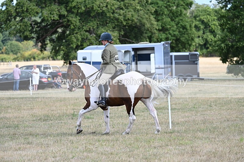 WJ7_7249 - Class 14 Ridden Coloured