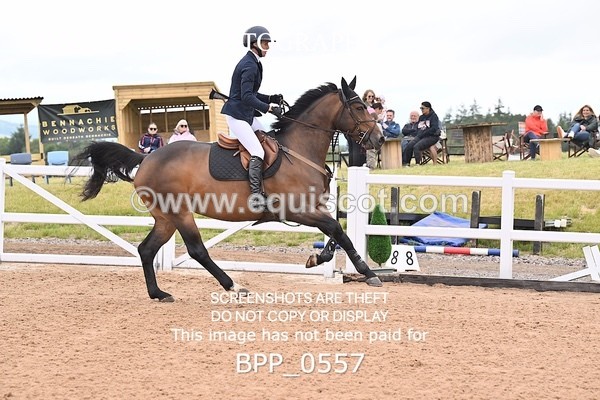 BPP_0557 - CLASS 28 SUN Nupafeeds Senior Dicovery/1m open