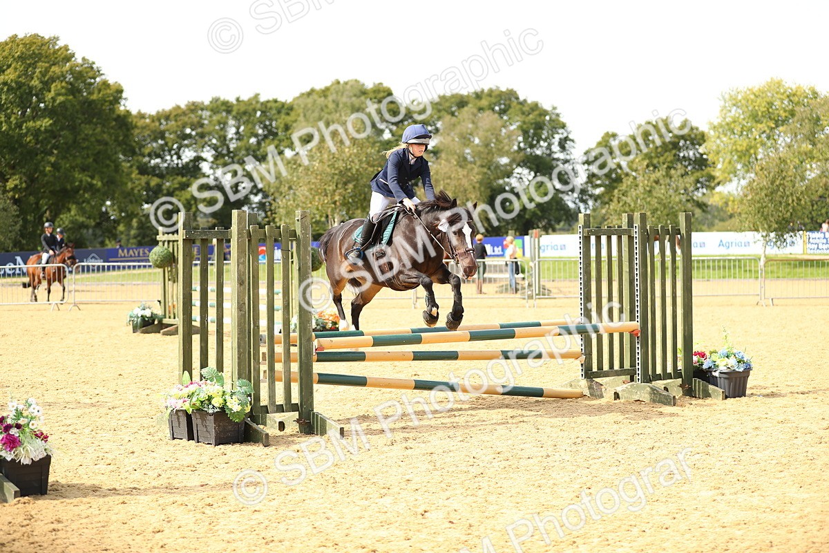 SBM_66129 - J17 - Junior Pony 80cm Championship