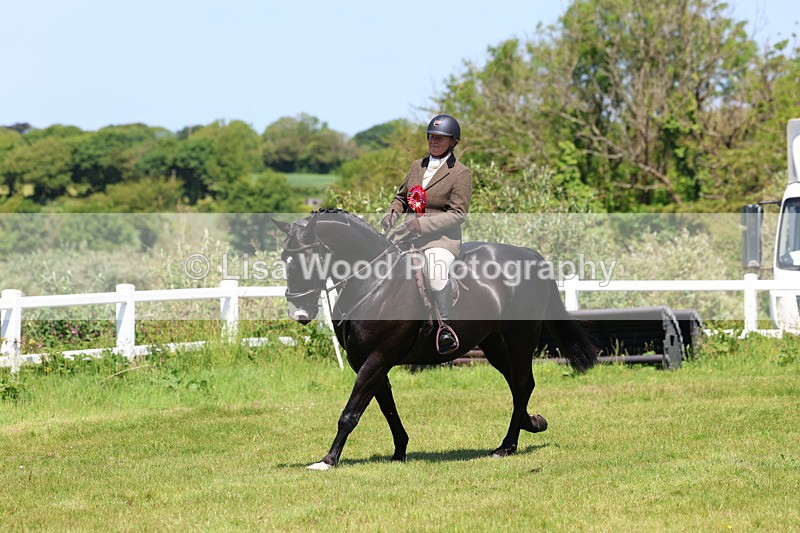 3E7A7438 - Class 30: Novice Working Hunter