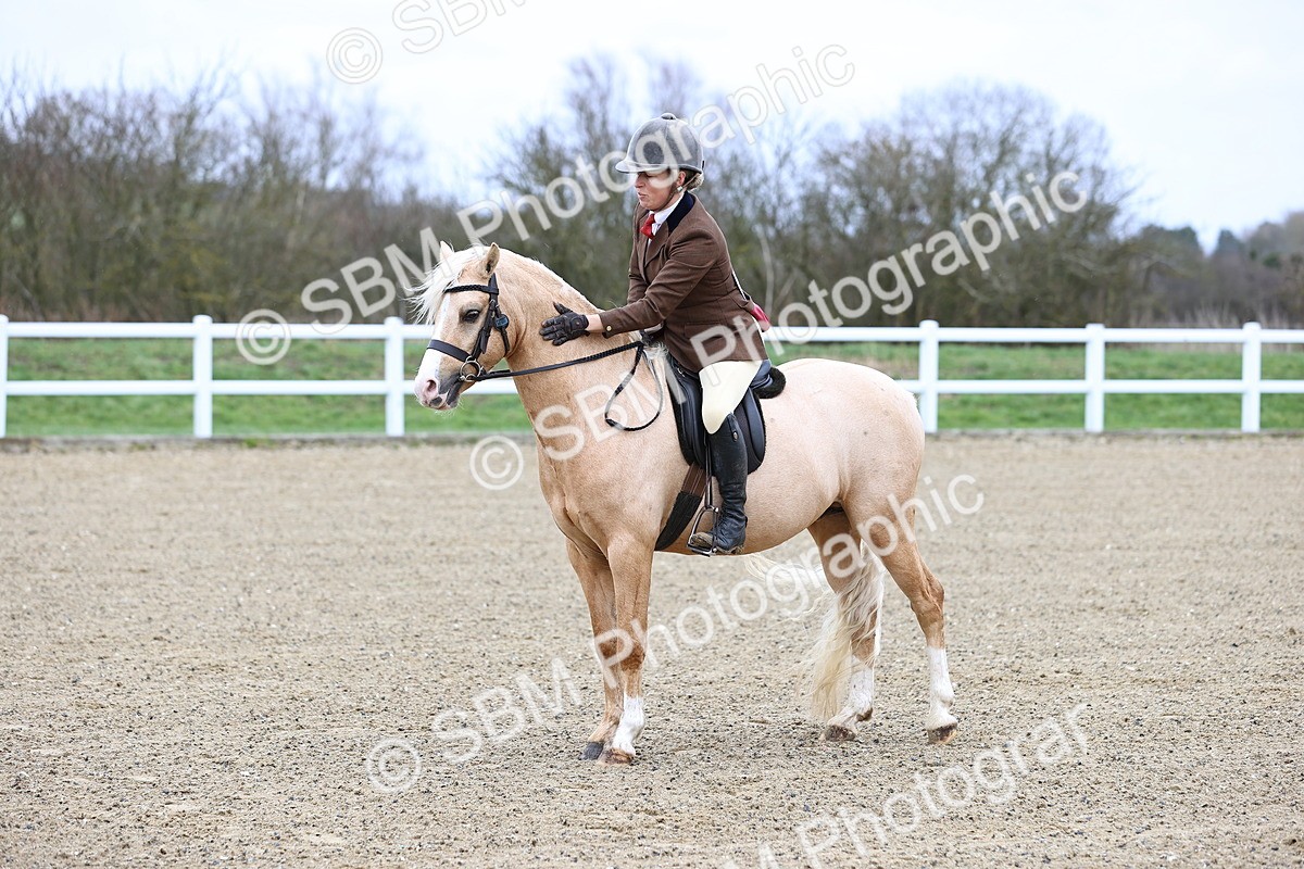 SBM_006849 - Class 29 - 30 - M&M Pure Novice Small-Large Breeds