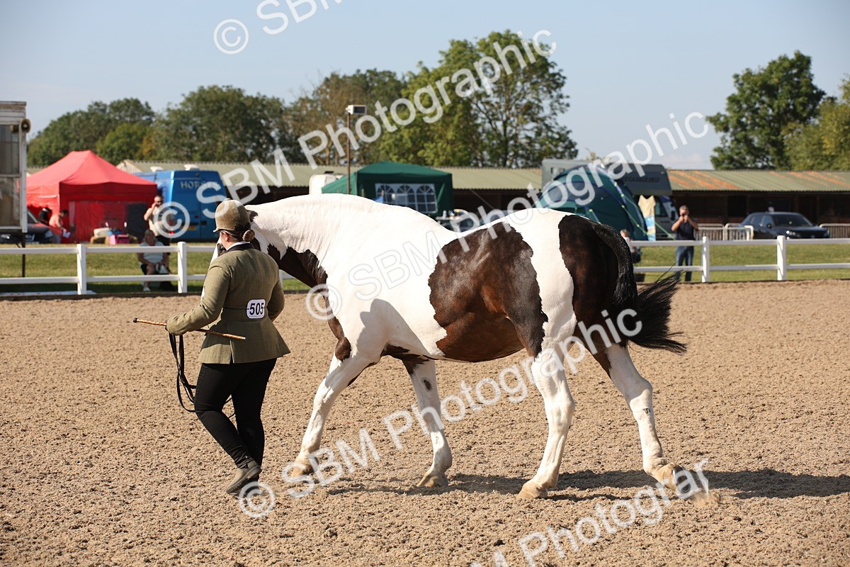 SBM_01514 - Class 15 IH Coloured