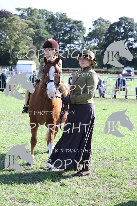 APP_3881 - Class 13 Lead rein