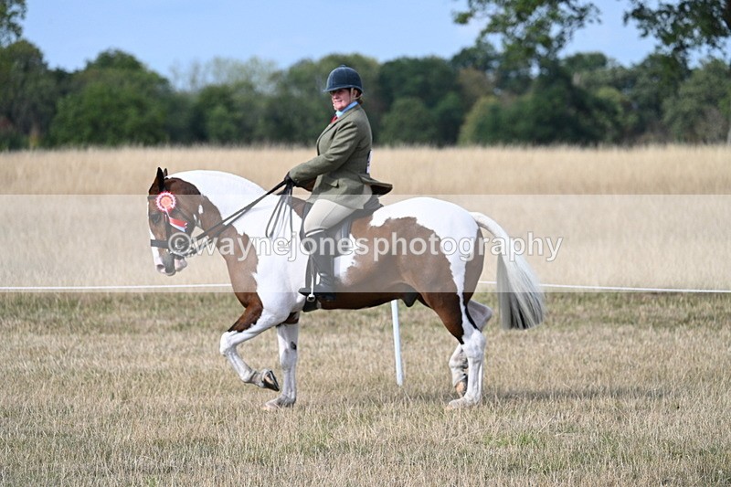 WJ7_7803 - Ridden Championship