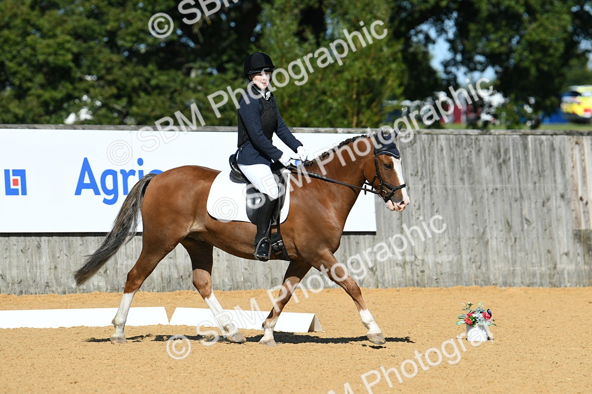 SBM_18126 - D4 - Small Tour Championship - Intro B