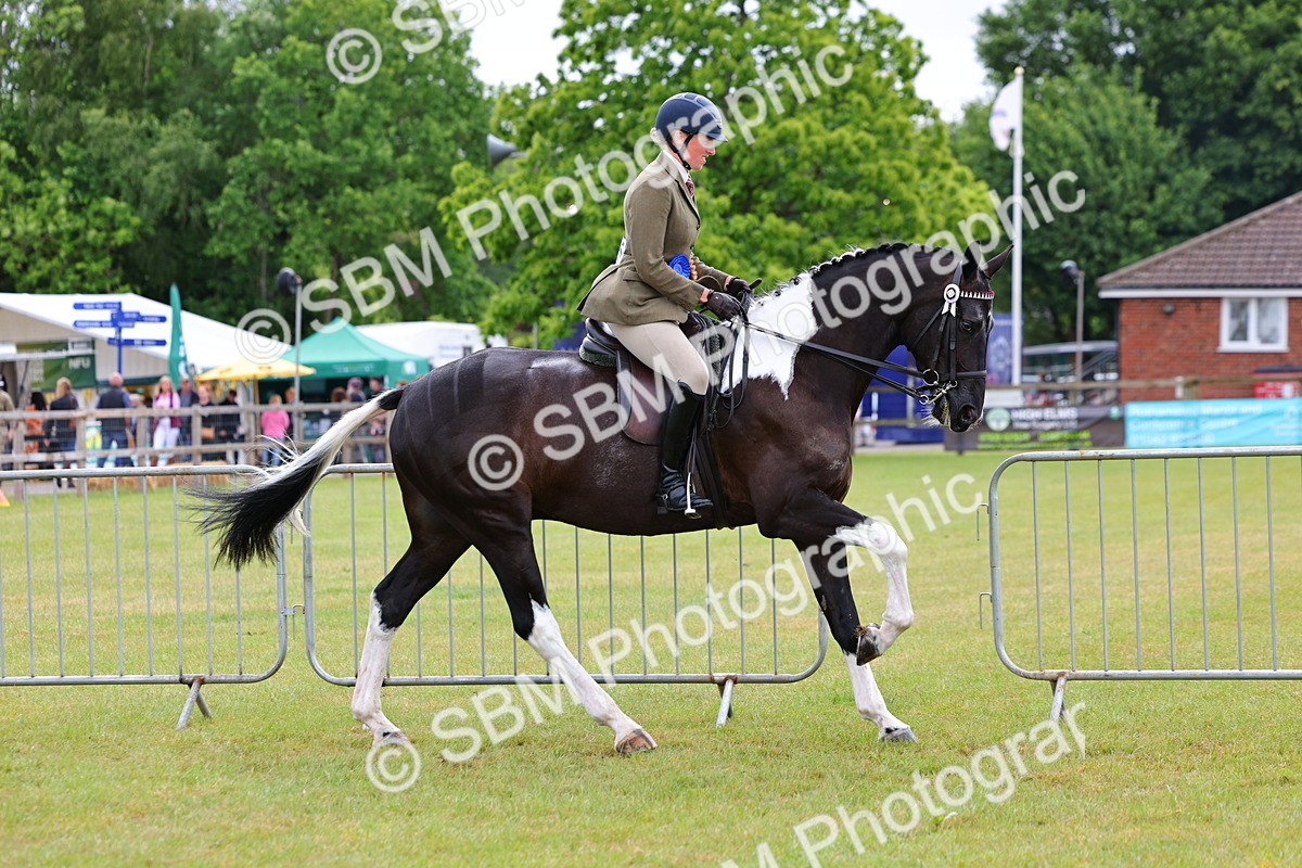 SBM_02567 - Class 9-11 Side Saddle including LIHS Rising Star Ladies Show Horse