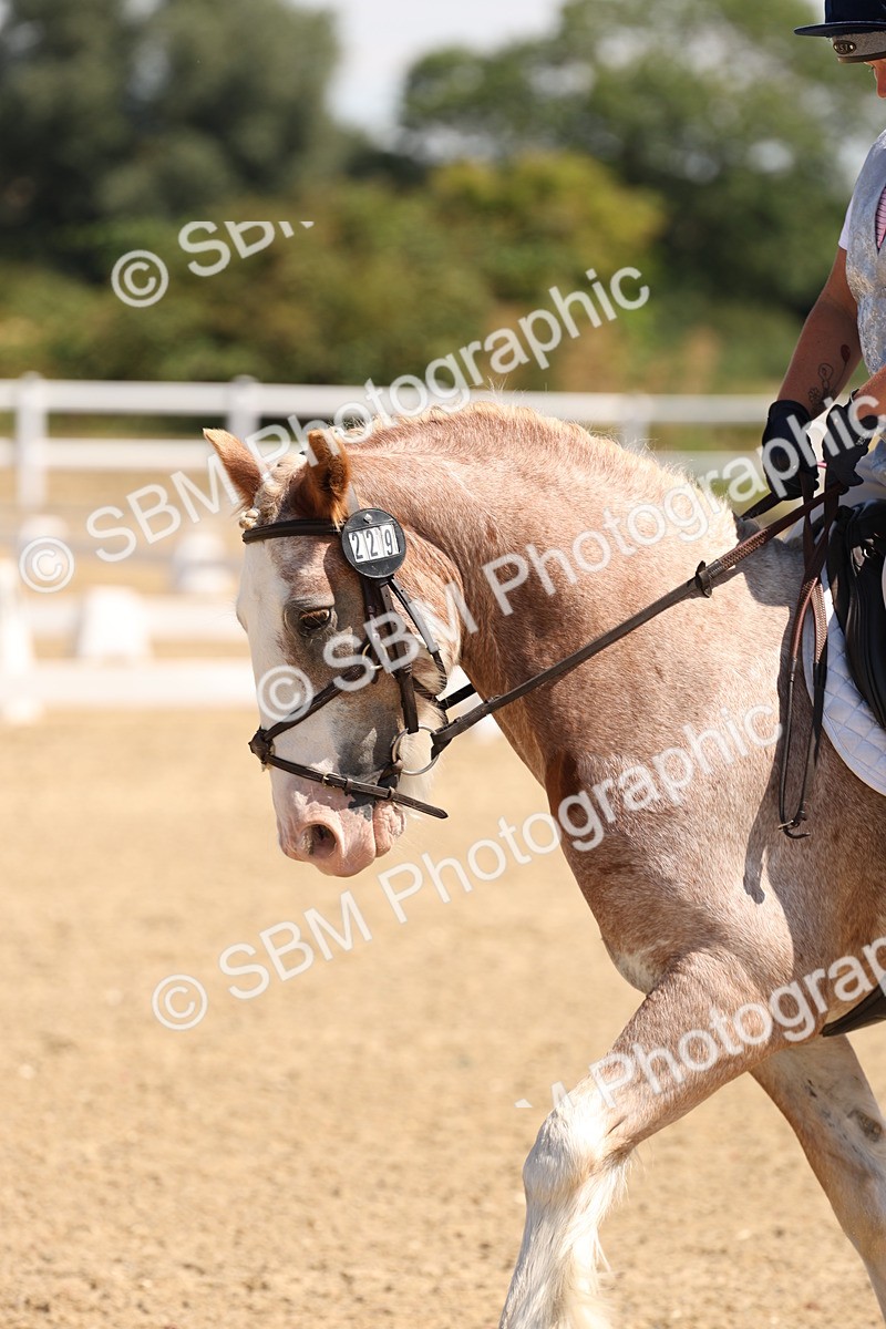 SBM_001275 - Intro 2