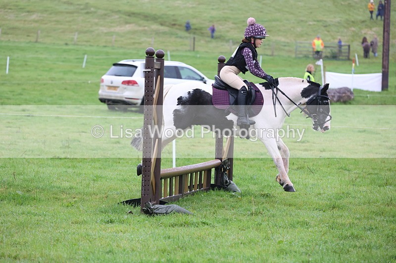 JPP_4977 - Class 1: 65cm : Showjumping