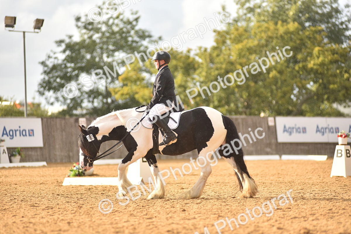 SBM_29775 - D16 -Small Tour Championship Novice 2