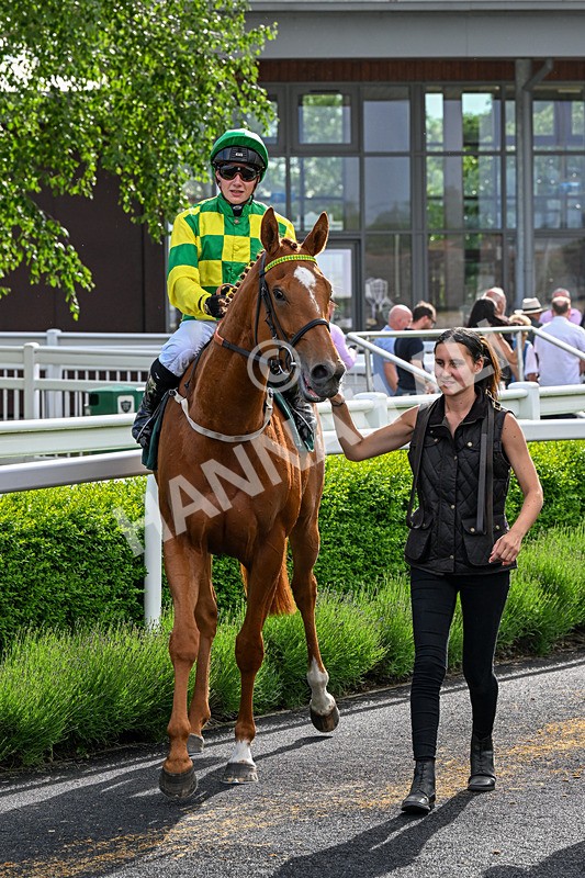 300526-Race 7-Red Rifle-1002 - Race 7 17.17pm Bet At racingtv.com Handicap
