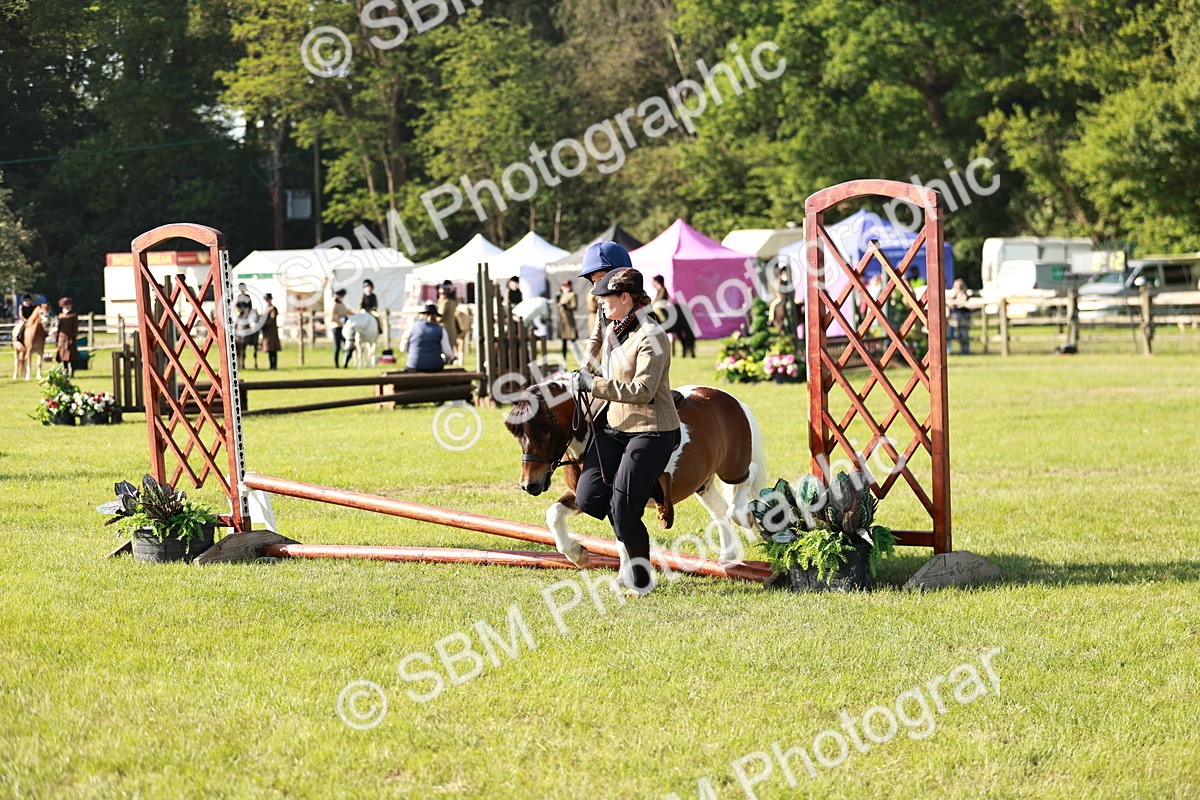 SBM_11186 - Class 106-107 - BSPS LIHS Working Sports Pony