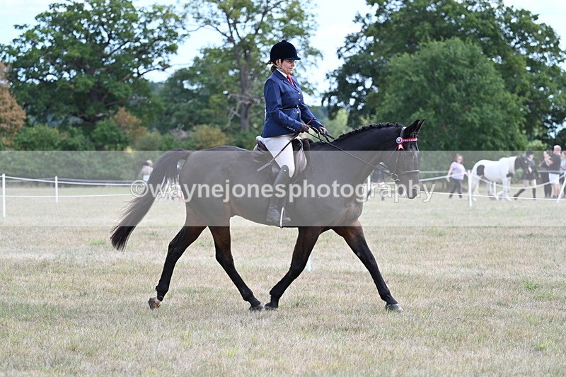 WJ7_5968 - Class 13 Ridden Veterans