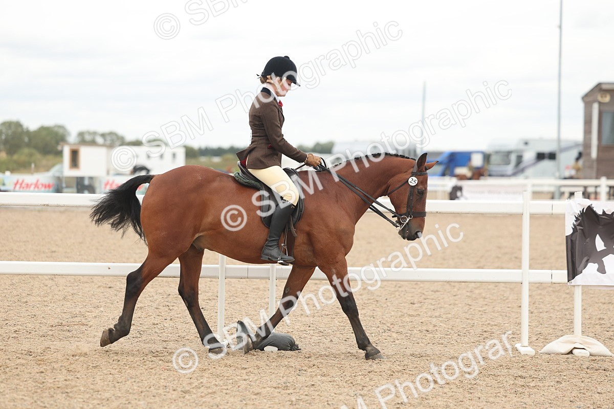 SBM_19100 - Class 316 - Best Pony-Rider Combination